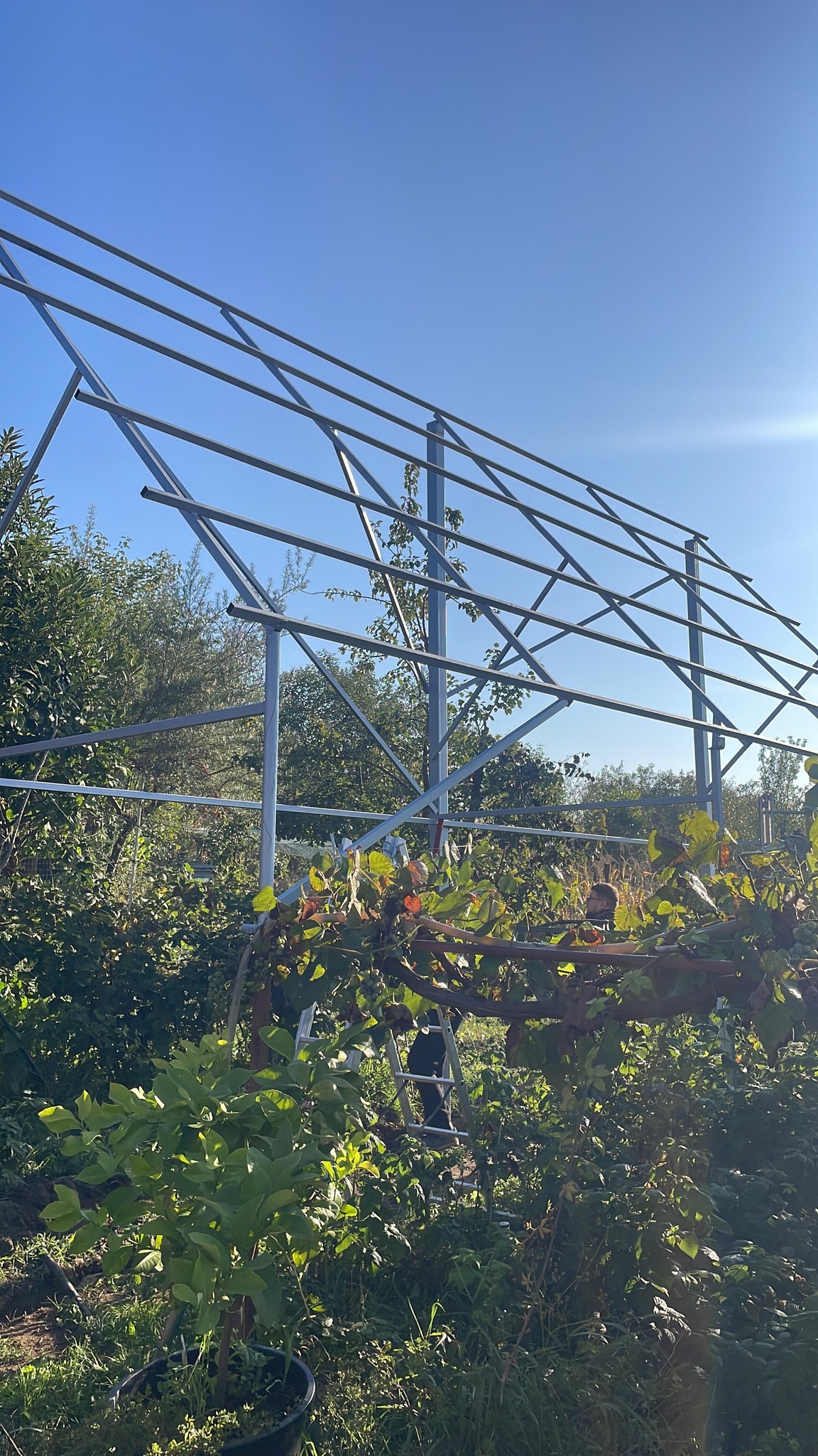 Fotovoltaice